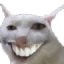 :cat_smile: